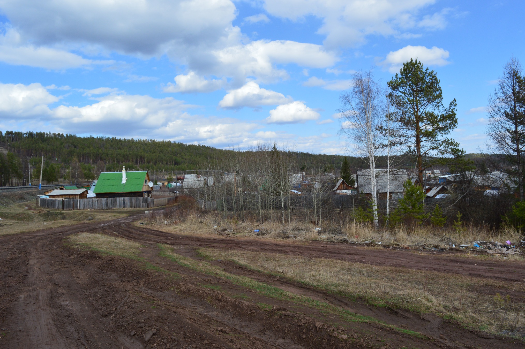 новорижский коттеджный поселок вид сверху. застройка участка. проект роща вихоревка. населенный пункт дачное. д.