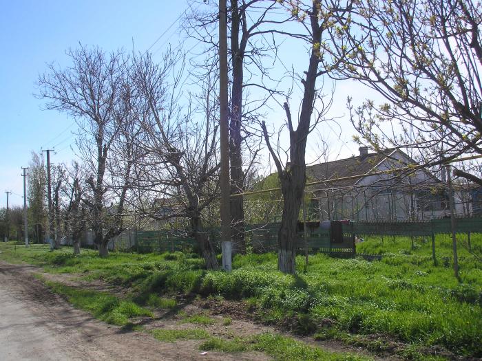 Погода село комаровка. Комаровка Красногвардейский район. Село Комаровка Крым. Комаровка Киевская область.