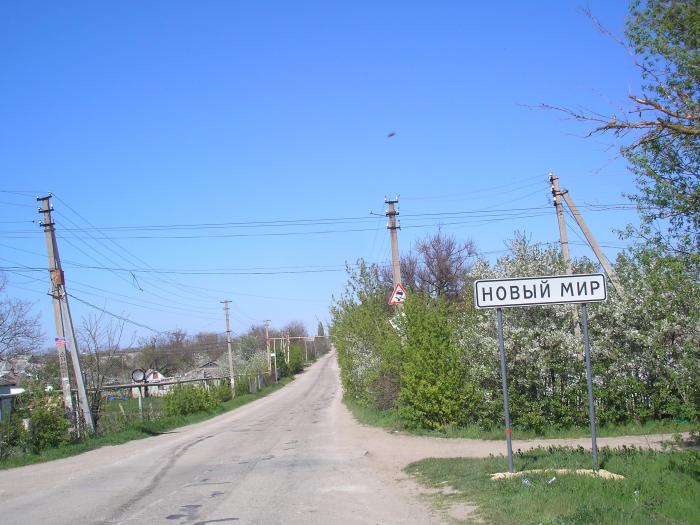 Село новый мир. Село новый мир Симферопольского района. Крым Советский район село новый мир. Район новый мир Симферополь. Село новый мир Симферопольского района ул Центральная.
