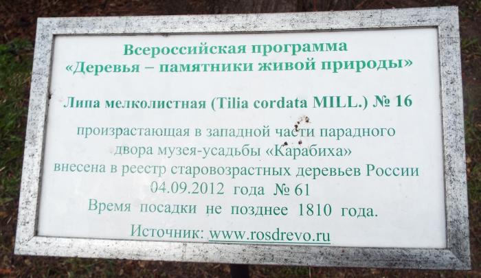 Статус памятника. Липа в Карабихе. Республиканский реестр "мемориальные деревья России. Сад Карабиха клубника часы работы. Карабиха клубника часы работы.