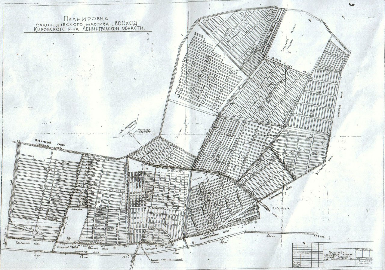 Массив восход. План садоводства Восход Кировского района. СНТ Восход Кировский район Ленинградская область. Кировский район массив Восход. Синявино Ленинградская область Садоводство Восход 1.