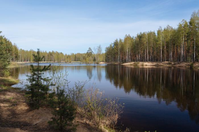 Каменка ленинградская область фото