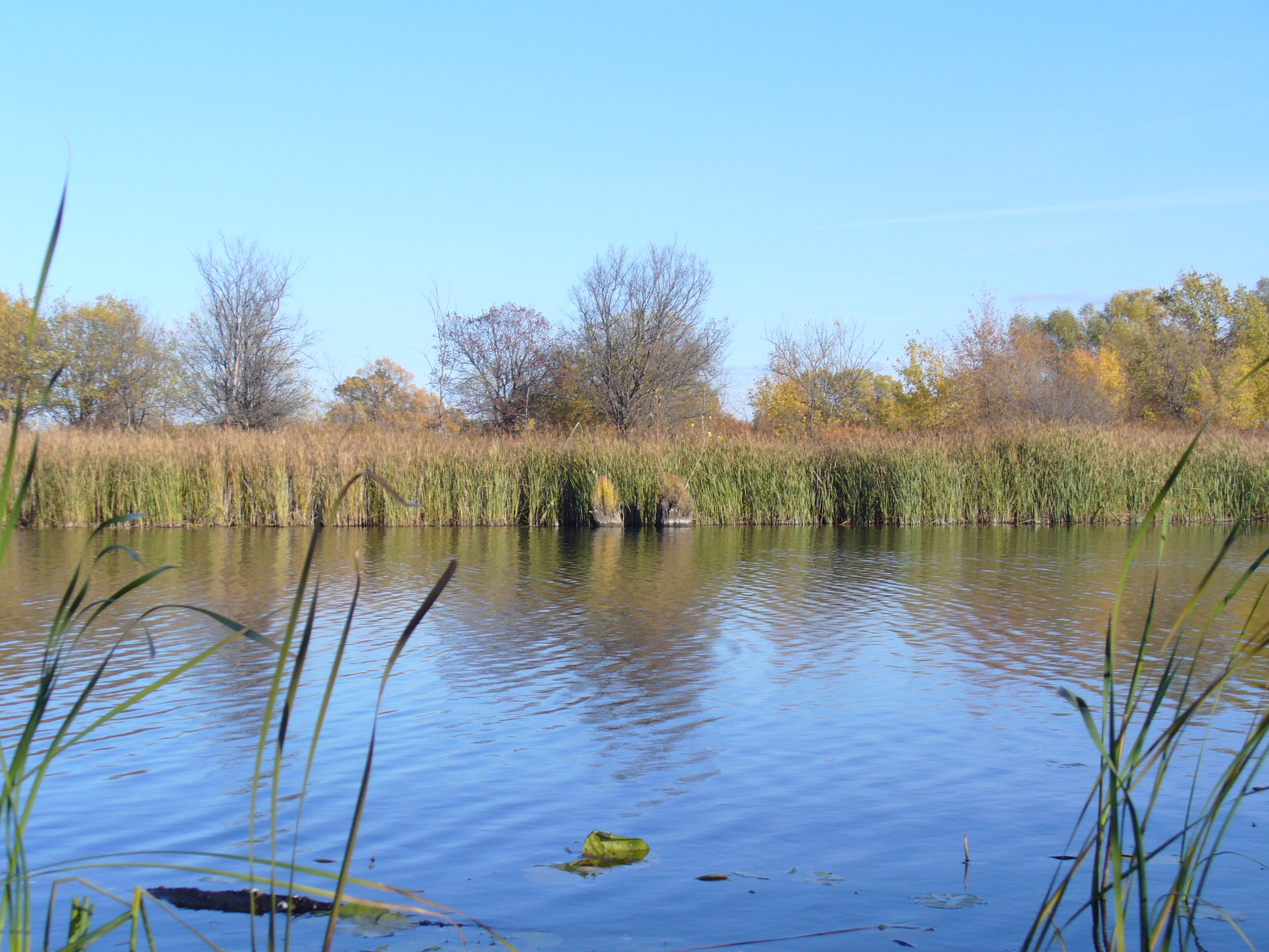 низовья волги астраханская область. село началово астраханская область. протока астрахань. турбаза на реке волга. протока воложка.