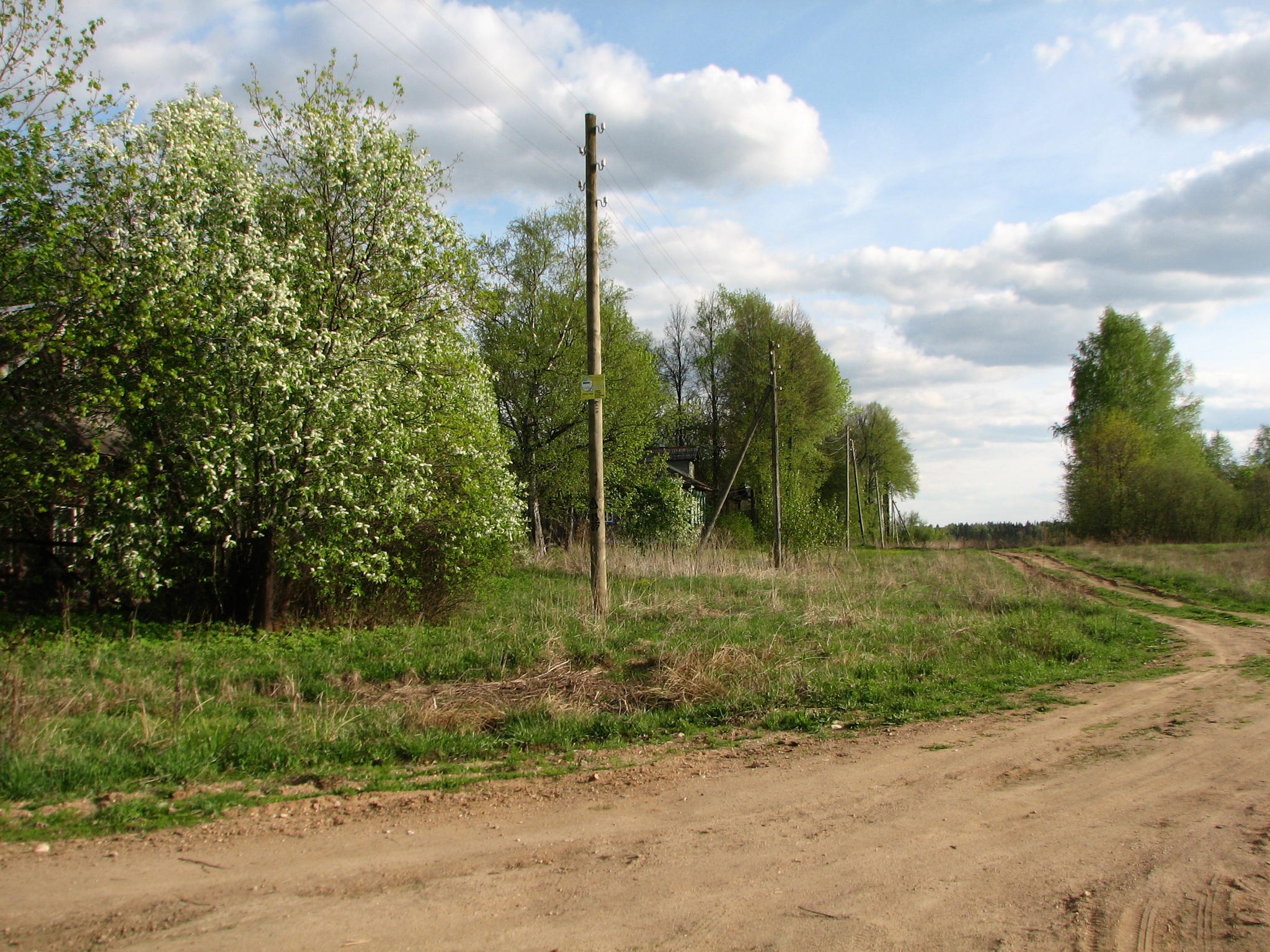 Индекс д гора. Гора Сипягина Борисоглебский Ярославской. Деревня гора Сипягина. Деревня гора Сипягина Ярославская область Борисоглебский район. Инальцинское сельское поселение Борисоглебского района.