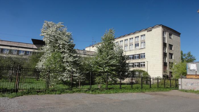 школа иогансона санкт-петербург. лицей иогансона спб. иогансона. лицей иогансона. спгахл им.