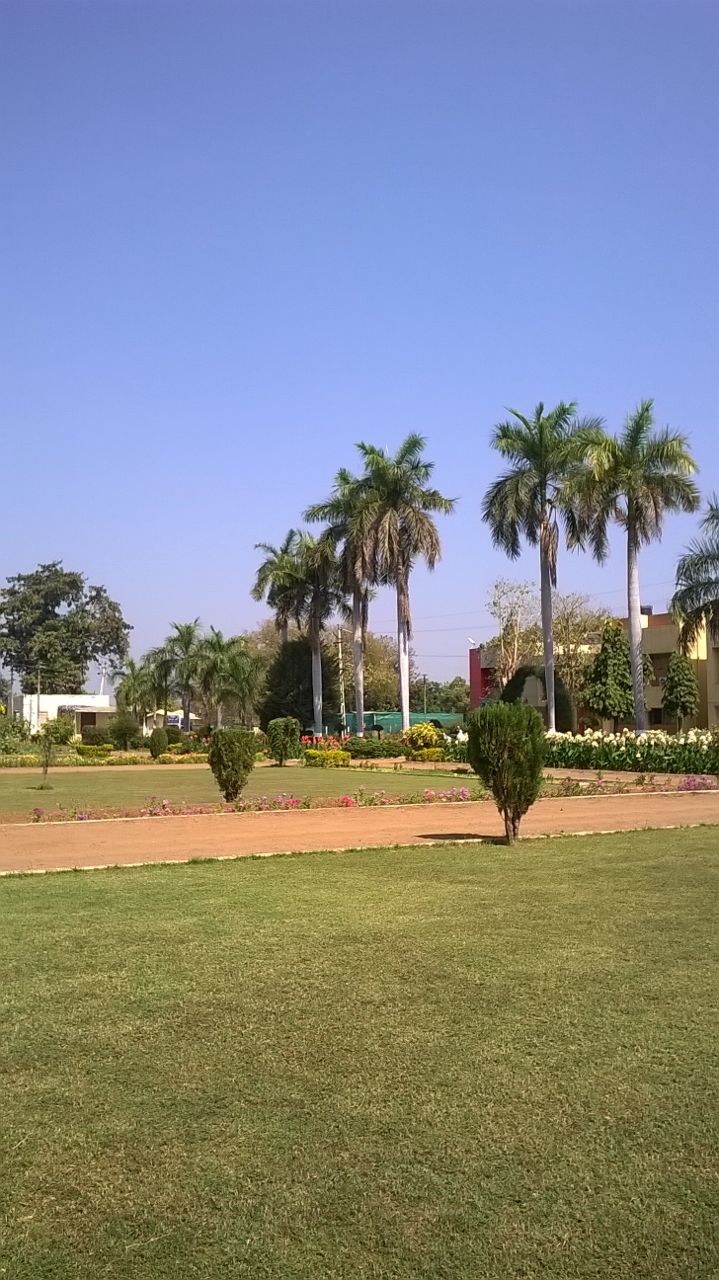 College Garden