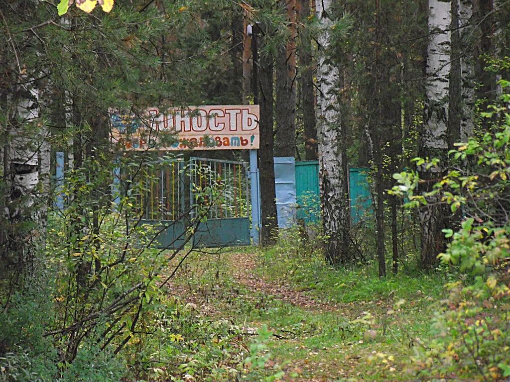 Лагерь нижний тагил. Пионерский лагерь Юность в Нижнем Тагиле. Пионерлагерь Берёзки Нижний Тагил. Заброшенный лагерь Березка Нижний Тагил. Лагерь Березки Соколенок Нижний Тагил.