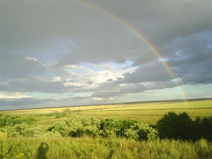 Погода сердоба пензенская. Малая Сердоба природа. Малосердобинский район природа. Малая природа. Река Саполга Пензенская область малая Сердоба.