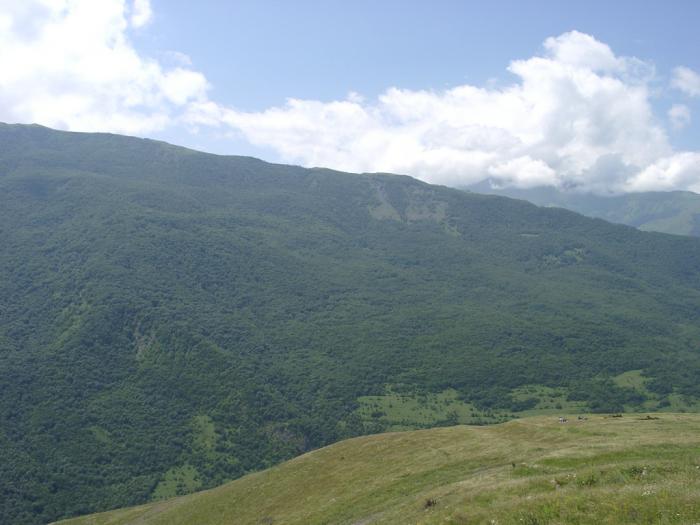 Дарго х. Дарго Ведено. Дарго (село). Дарго горы. Дарго Салангериев.