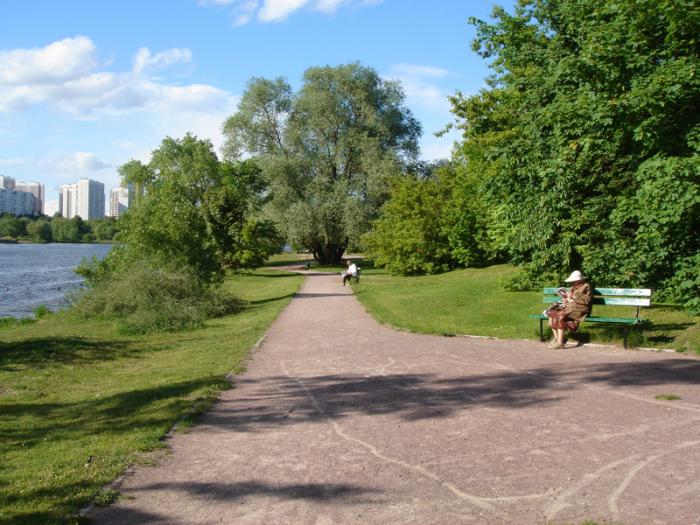 Пляж парка. Парк ветеран в Серебряном Бору. Парк ветеран Москва. Парк ветеран Строгино. Пляж ветеран в Серебряном Бору.