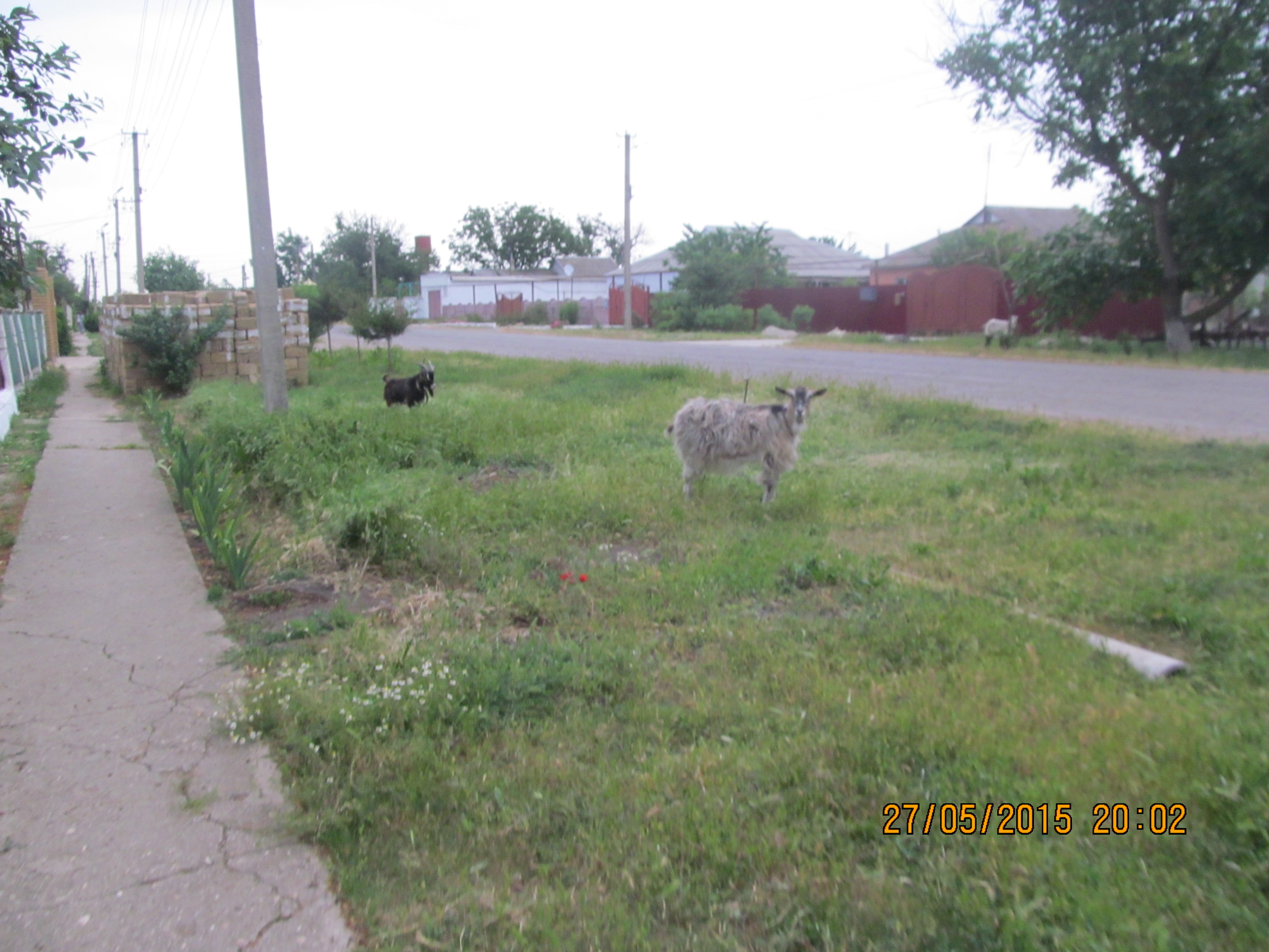калиновка ровное ольгино. д калиновка ленинский район московская область. розовский район запорожской области село зеленополье. калиновка (житомирский район). калиновка нижегородская область.