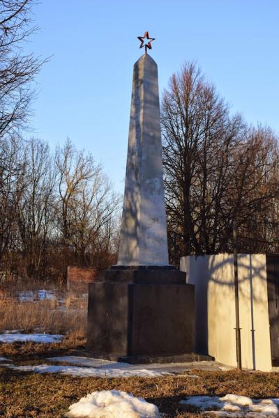 Стелла дорогобуж