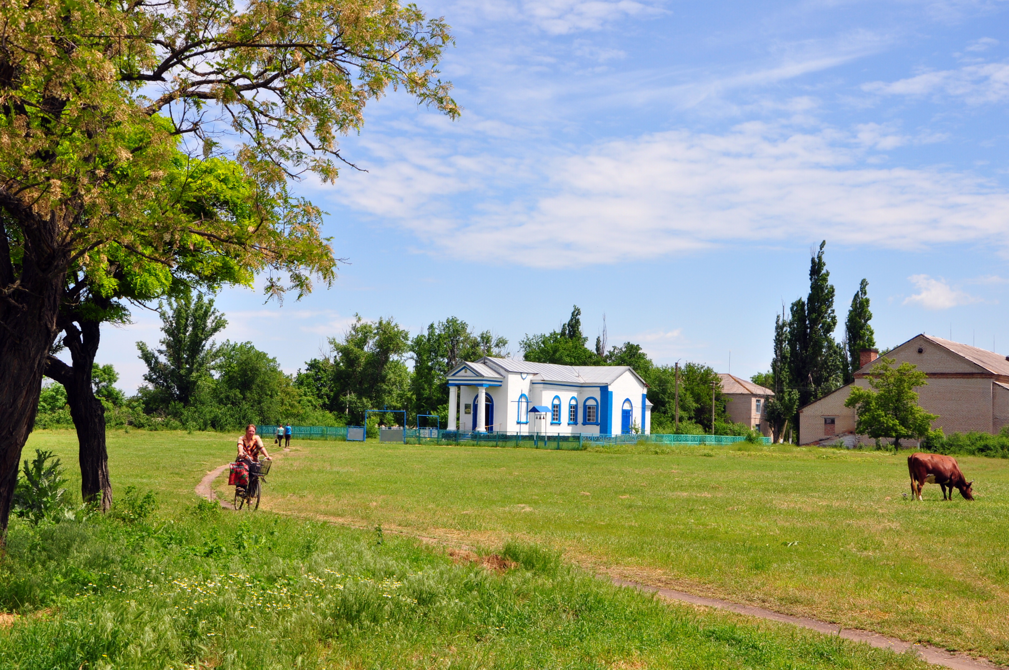 Запорожская область села. Новоуспеновка Запорожской области. Украина село Новоуспеновка Веселовский район. Весёловский район (Запорожская область).