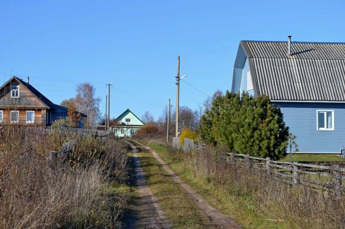 Погода лесная новгородская область. Деревня Горнешно Новгородская область.