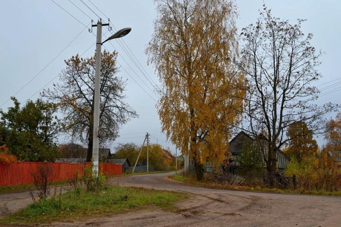 Погода лесная новгородская область. Горнешно Новгородская область. Деревня Горнешно.