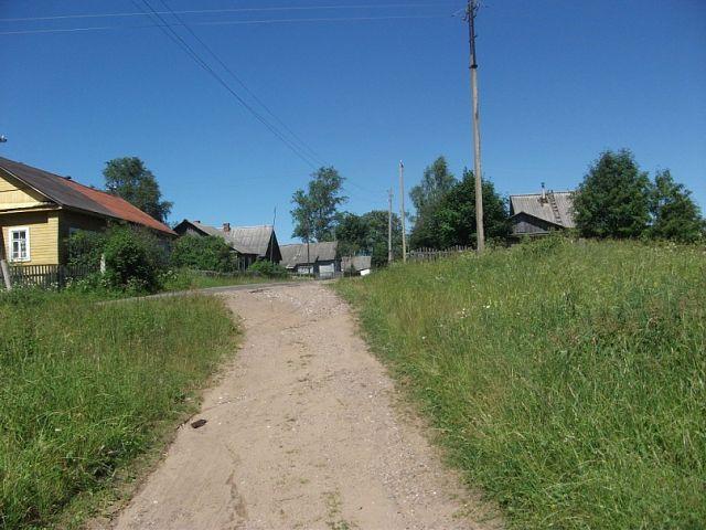 Новомальцево парахино александровка фомино. Деревня Хорино Новгородская область. Деревня Хорино Окуловского района Новгородской области. Деревня Нароново Новгородской области. Деревня Ермолино Новгородская область Окуловский район.