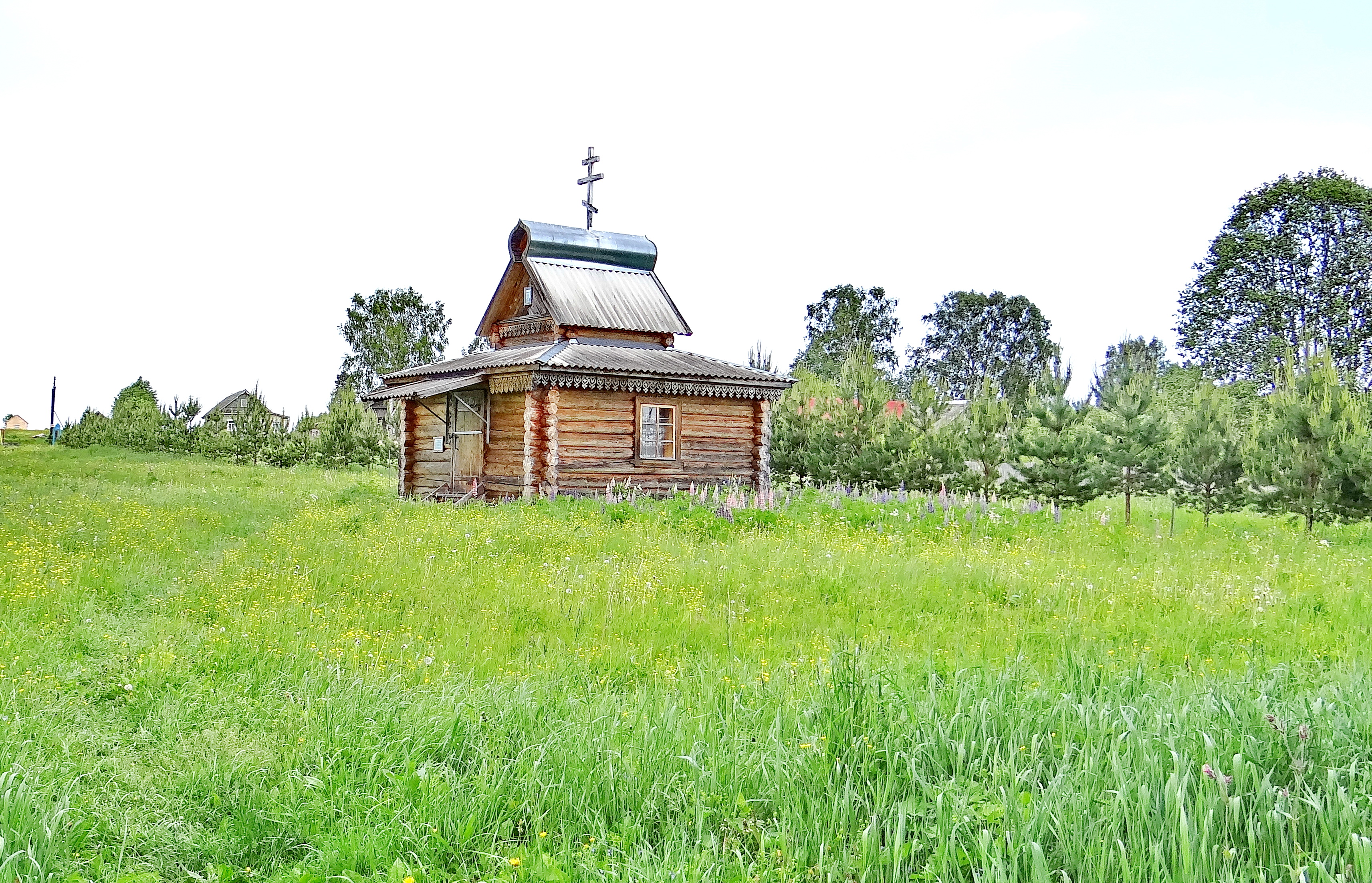 Дер родники