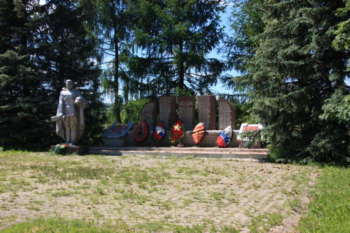 Поселок новопетровский тульская область. Памятник в Новопетровское. Новопетровское достопримечательности. Новопетровское (Московская область). Памятник в селе Новопетровское.