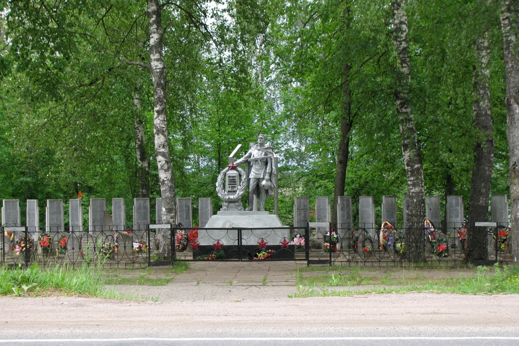 Пустошка. Пустошка Братское захоронение. Братская могила д. Сергейцево. Пустошка Братская могила. Деревня Сергейцево Пустошкинский район.