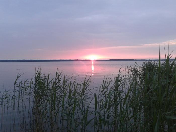 Солигорское водохранилище. Краснослободское водохранилище. Краснослободское водохранилище Мордовия. Краснослободское водохранилище рыбалка. Водохранилище в Белоруссии Велута.