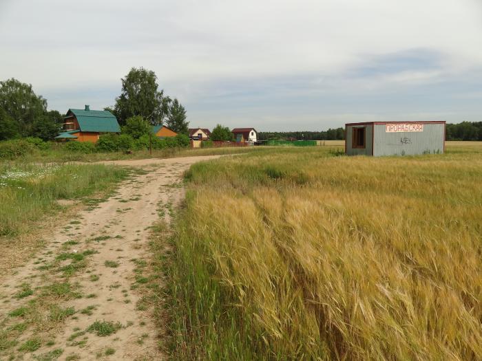 Кп марьина гора. Деревня Марьина гора Пушкинский район. Поселок Марьино гора. Коттеджный поселок Марьина гора Пушкинский район.