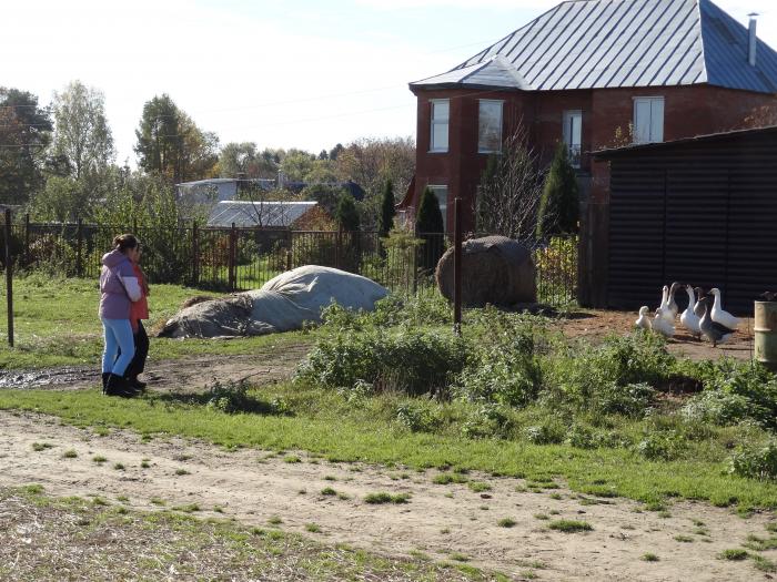 Марьина деревня. Деревня Марьина гора. Деревня Марьина гора Пушкинский район. Дер. Марьина гора, улица Марьинская. Марьина гора Пушкинский район фото.