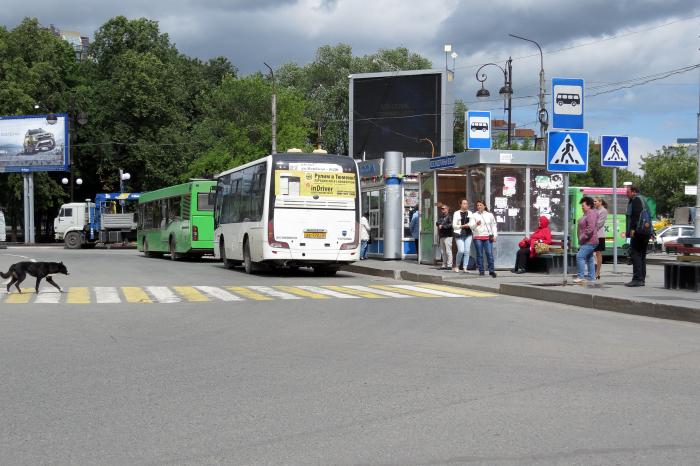 Место где стоят автобусы. Остановка Южный вокзал Калининград. Остановка автобуса. Вокзал остановка автобуса. Автобусные остановки Екатеринбург.