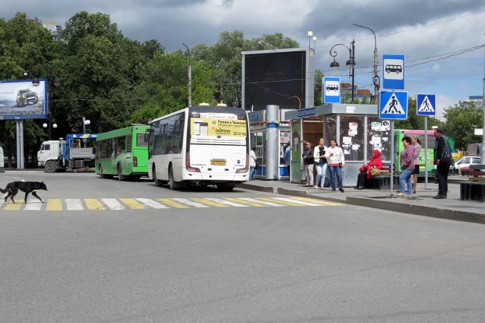 Место где стоят автобусы