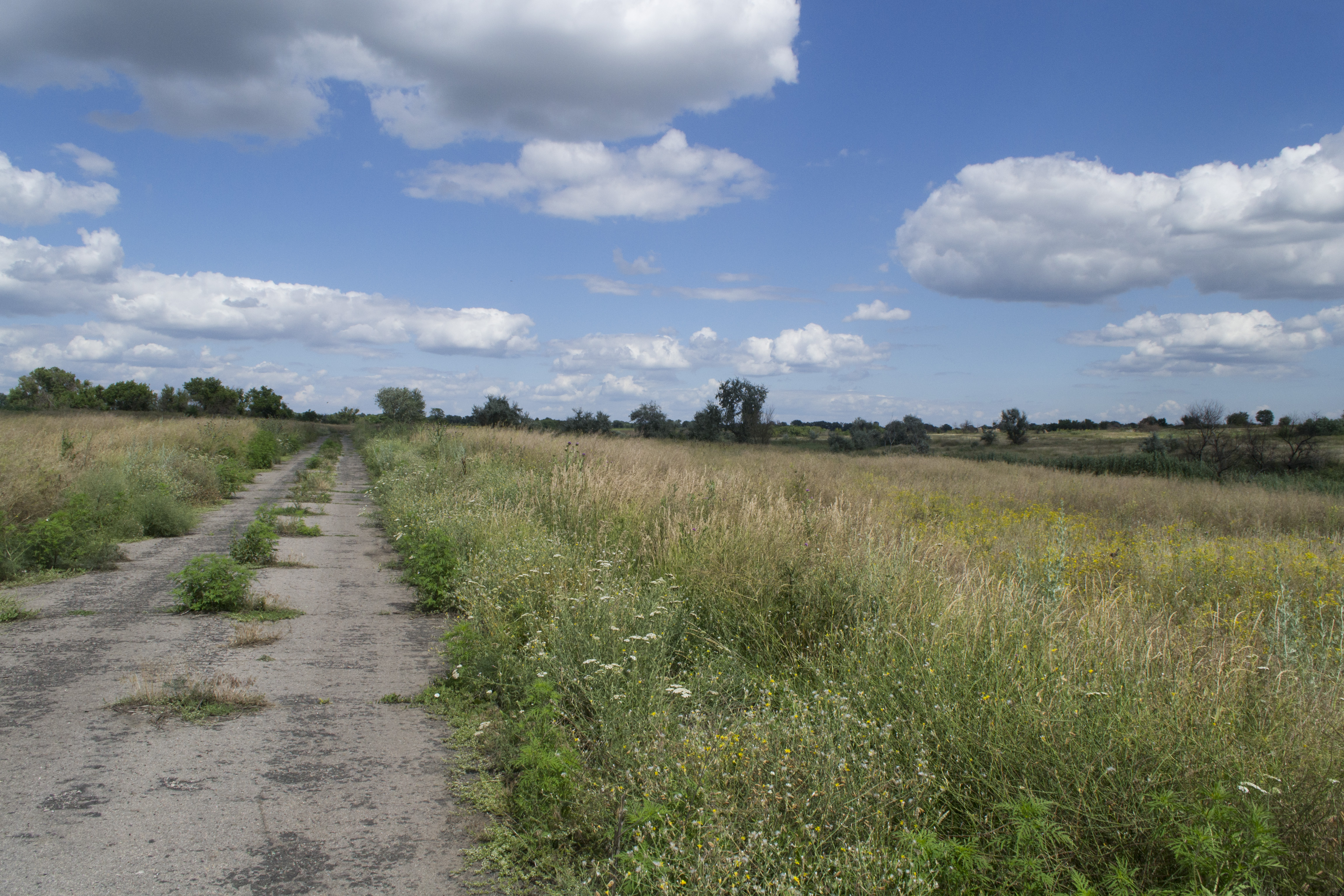 Село вольное