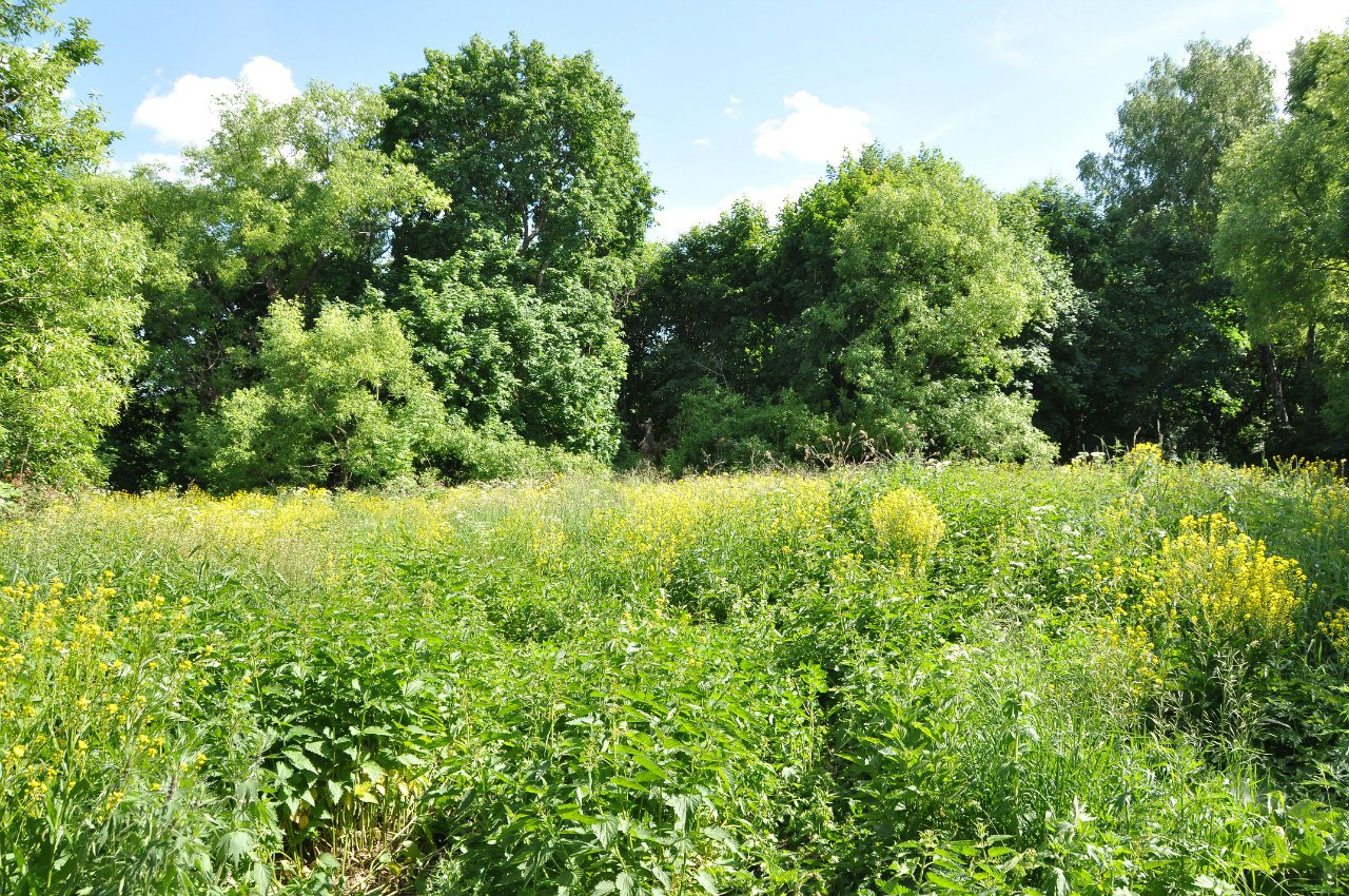 Архангельское тульская область. Каменский район село Архангельское. Архангельское Тульская область Каменский район. Архангельское Каменского района Тульской. Тульская обл. Каменский р/н с.Архангельское.