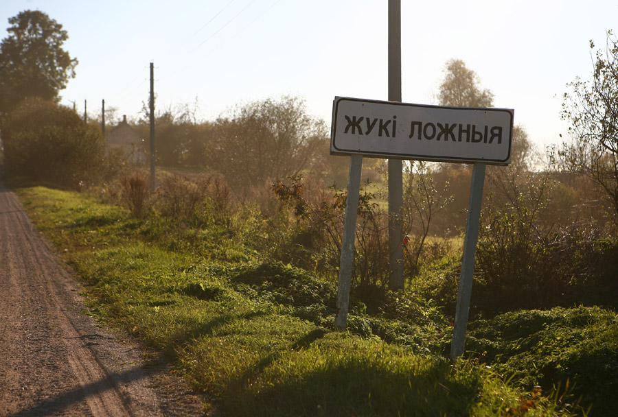 Деревня Жуки Саратовская Область Фото