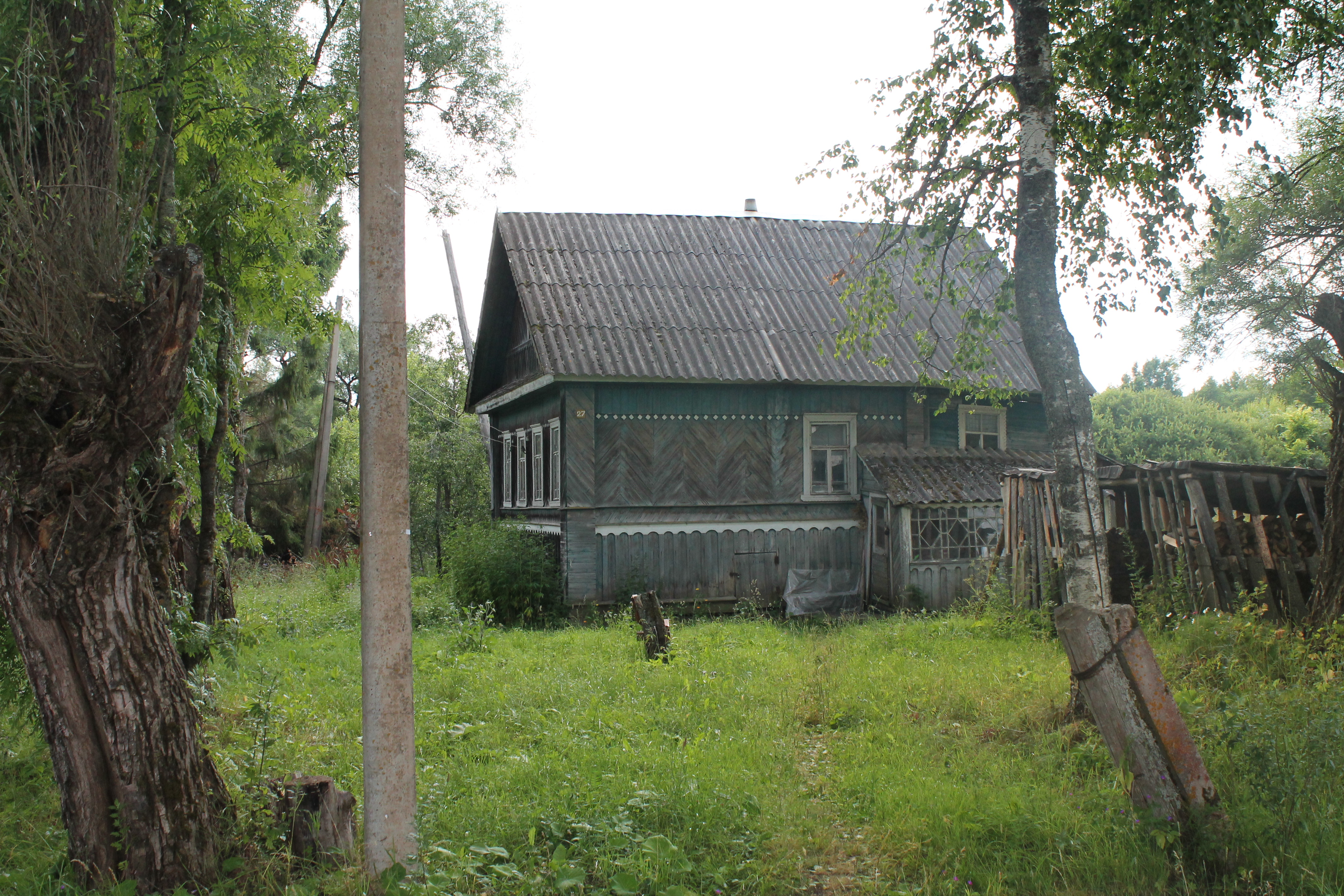 Деревня 12. Полавское сельское Парфинского района. Деревня Ростани Новгородской области. Деревня Росино Парфинский район. Парфино деревня пола.