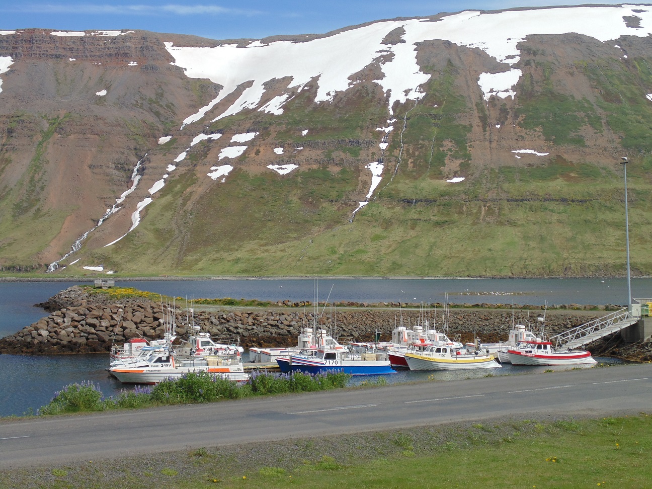 Simple Harbour Small harbour