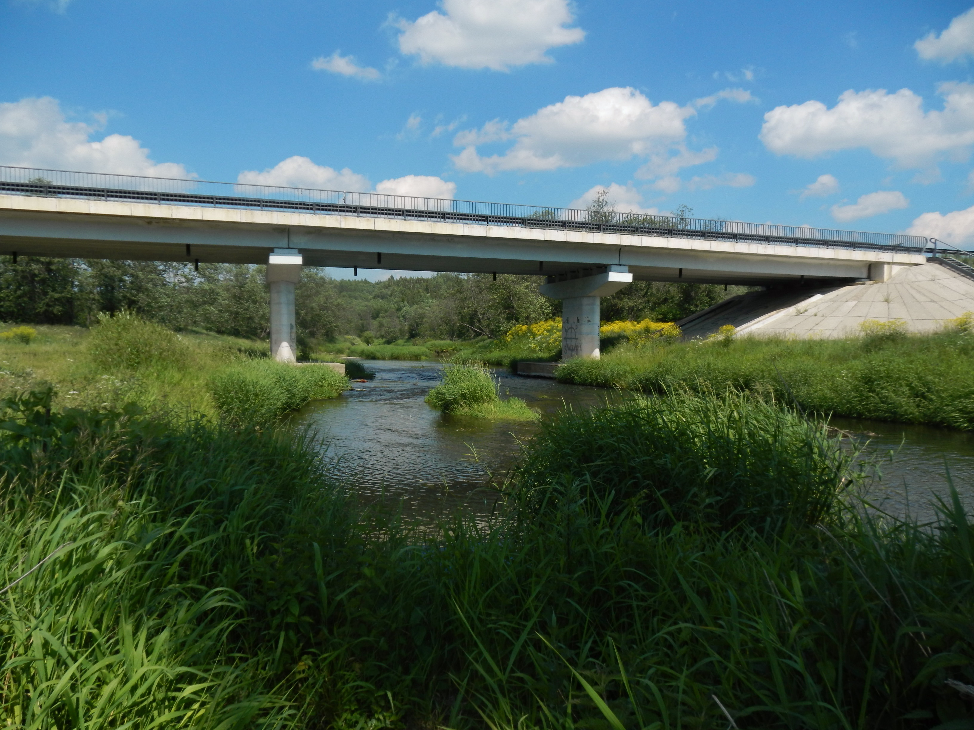 Bridge over Vazuza river