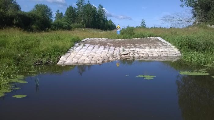 Озеро тигода новгородская область фото