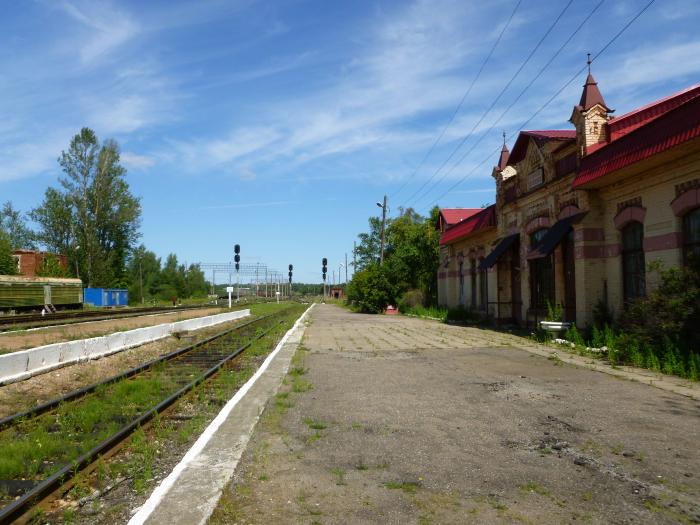 Вокзал в бологое