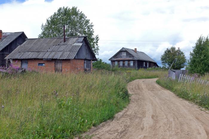 Богородское деревня новая