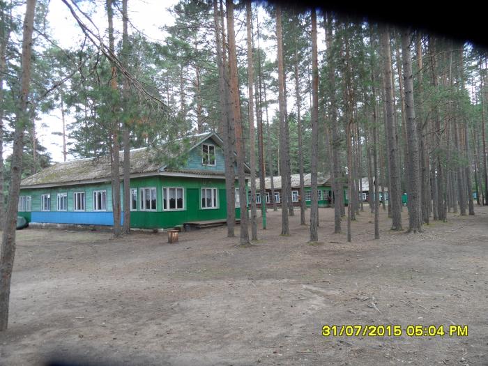 Лагерь чайка нижегородская область зеленый. Дол Чайка зеленый город Нижегородская область. Лагерь Чайка Нижегородская область. Лагерь Чайка Нижегородская область зеленый город 2023. Лагерь Чайка Колосково.