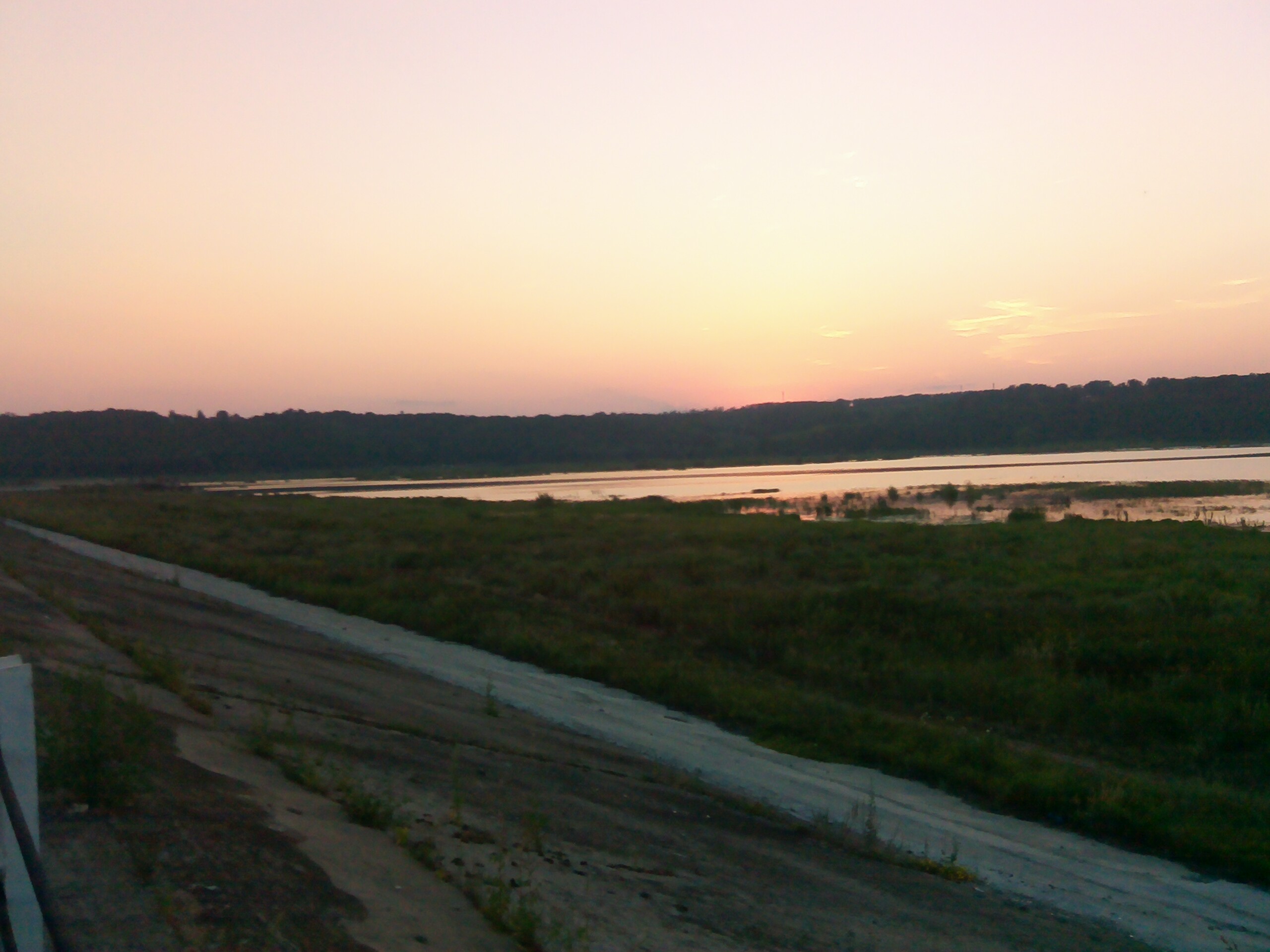 Курское море щетинка. Курское водохранилище щетинка. Водохранилище в Курске.