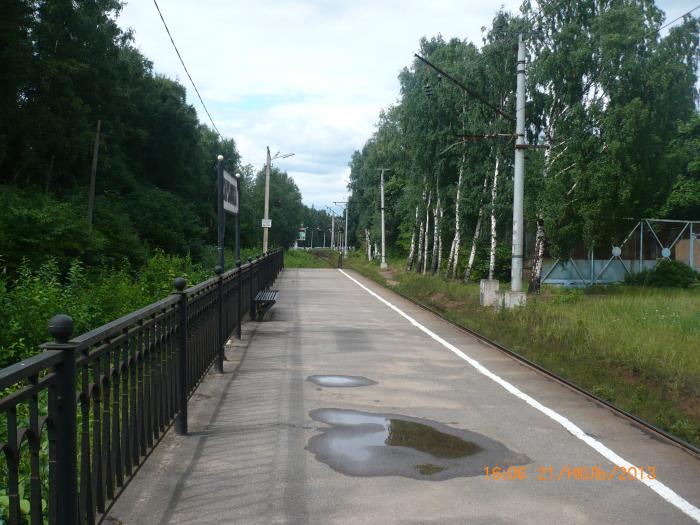 Тарховка Сестрорецк