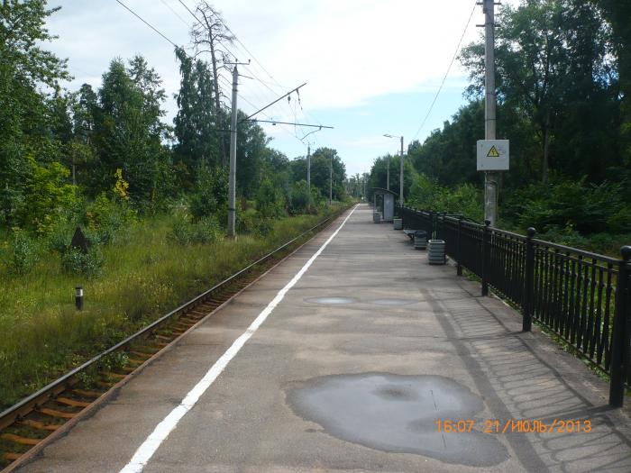 Тарховка Сестрорецк
