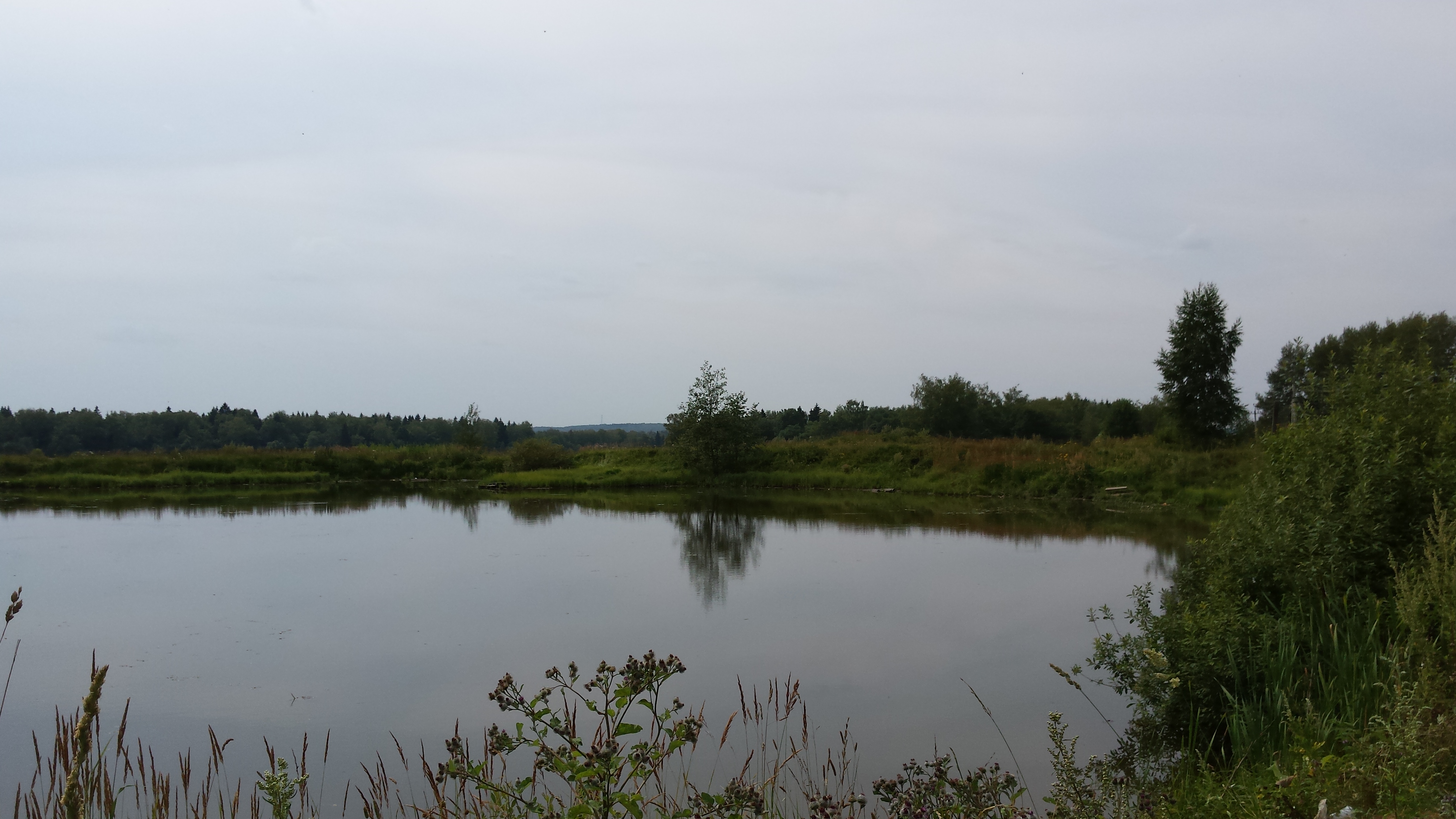 Подосинки дмитровского городского округа. Деревня Подосинки Дмитровский. Пруд в Дубровках. Подосинки (посёлок, Дмитровский городской округ).