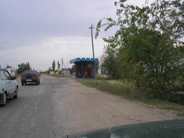 Село калиновка дагестан. Село Калиновка Крым. Село Калиновка Ленинский район. Калиновка Ленинский район Крым. Калиновка Ленинский район Крым кафе.