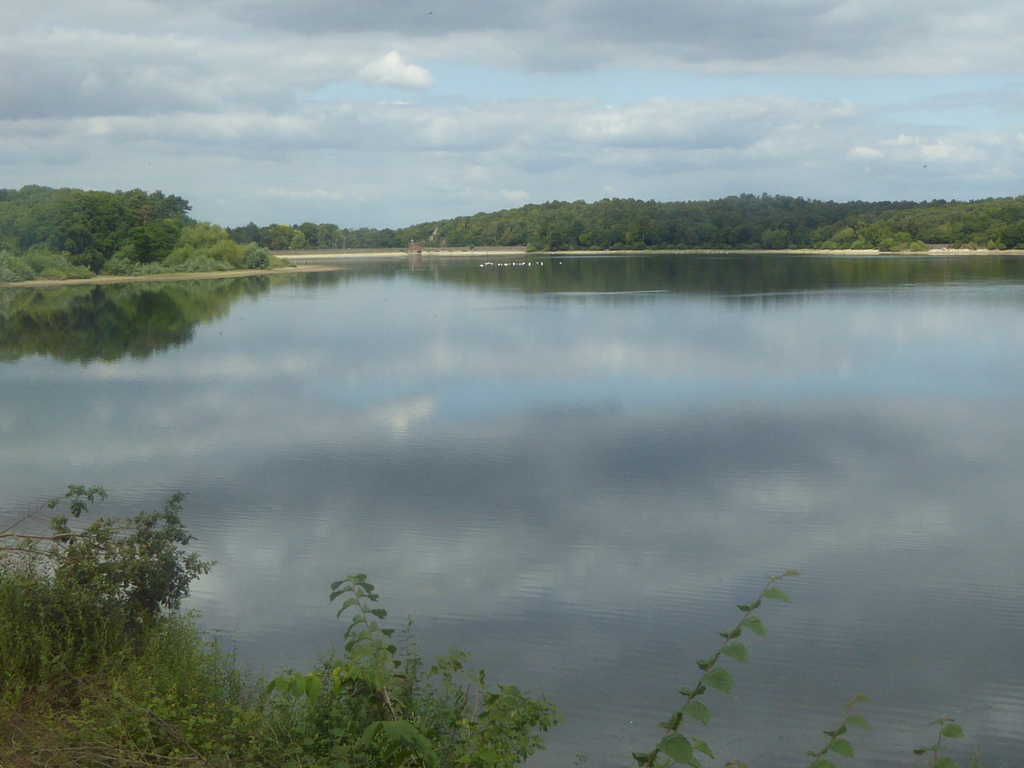 Swithland Reservoir