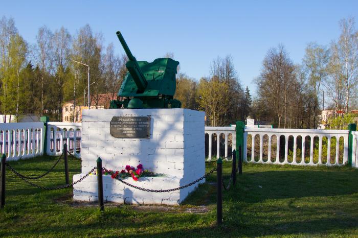 Демянск новгородская область. Демянск город. Стелла Демянск. Площадь города Демянск. Демянск МЕТАЛЛОПУНКТ.