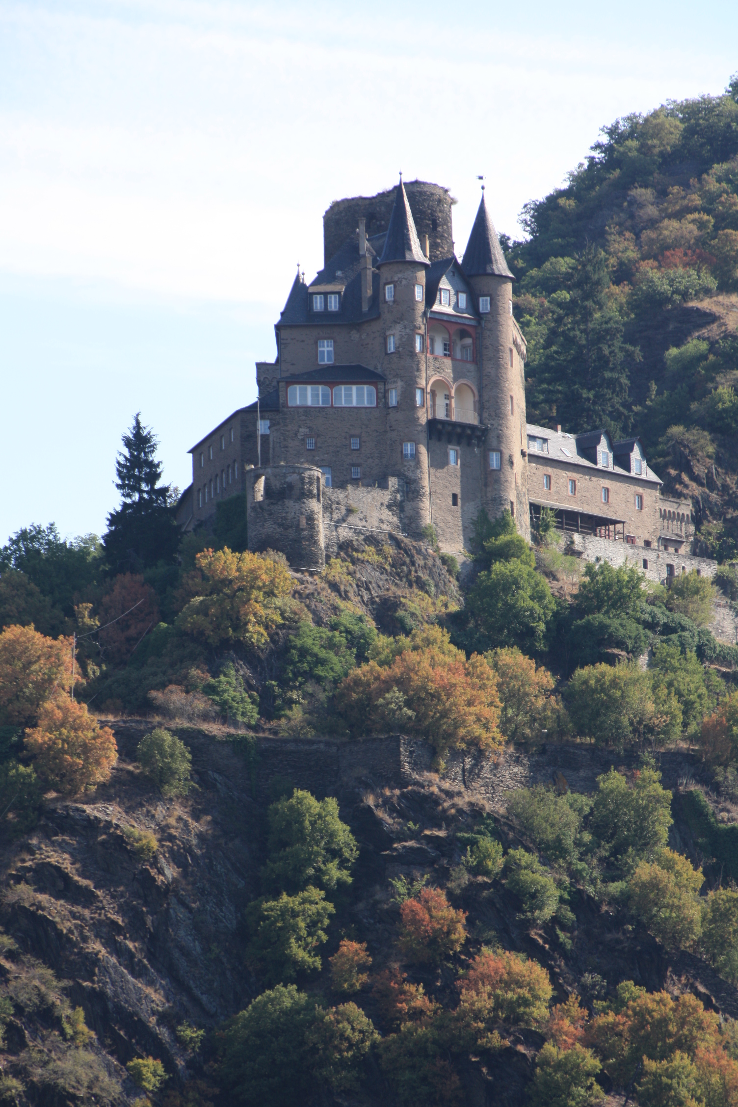 Burg Katz (Castle Katz)