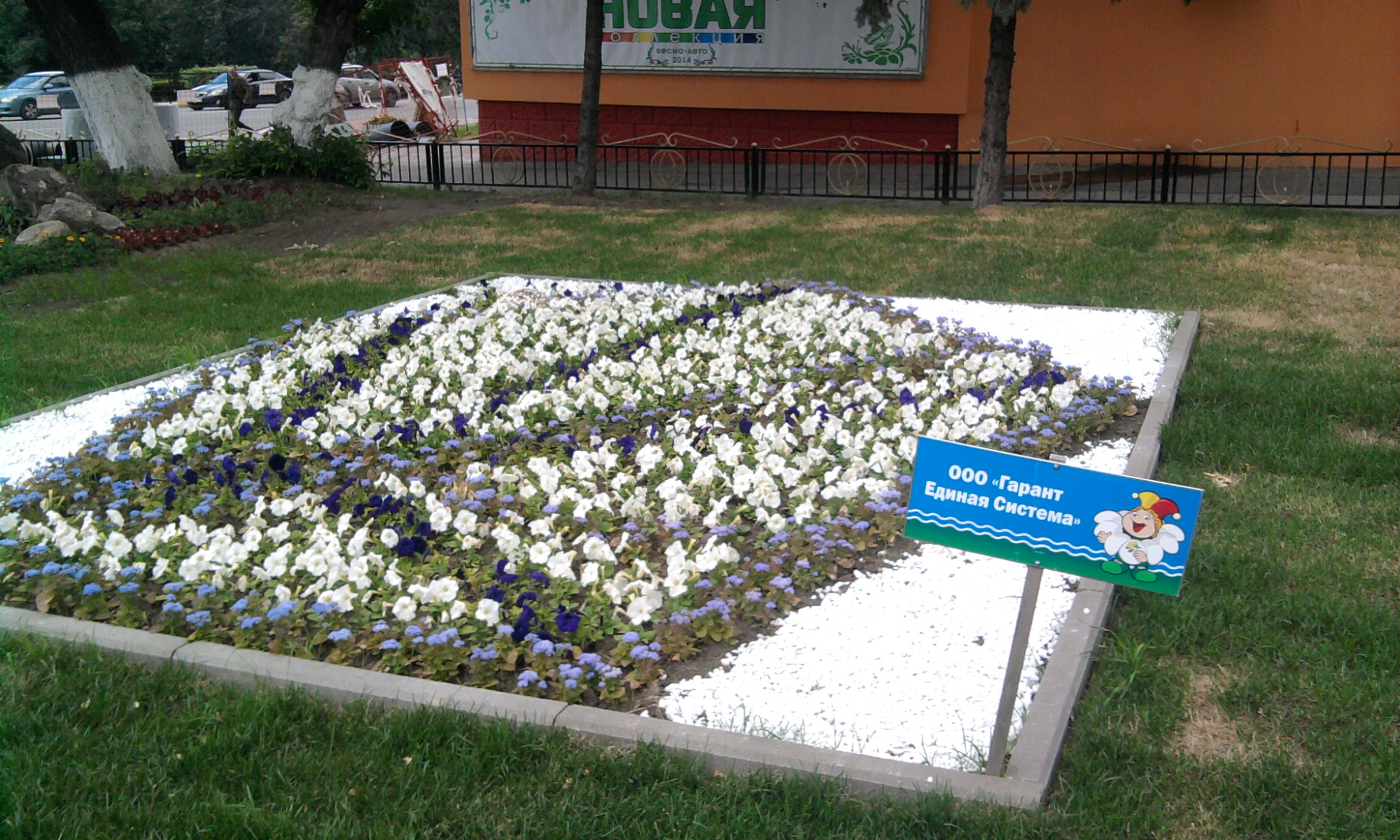 Купить Цветы В Раменском Недорого