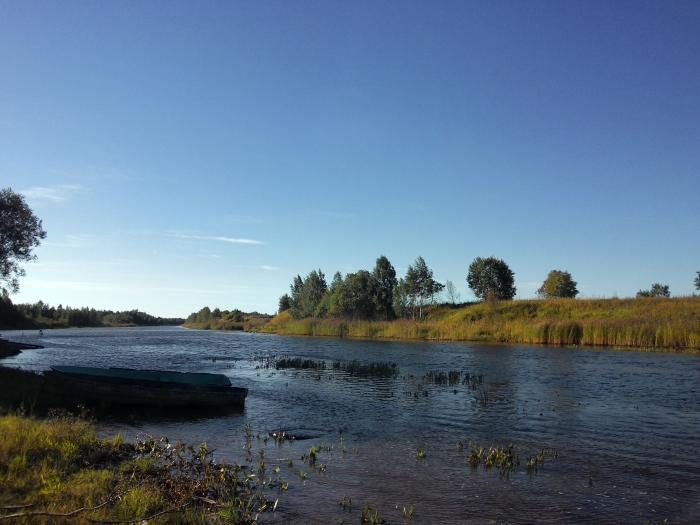 Городское поселение назия