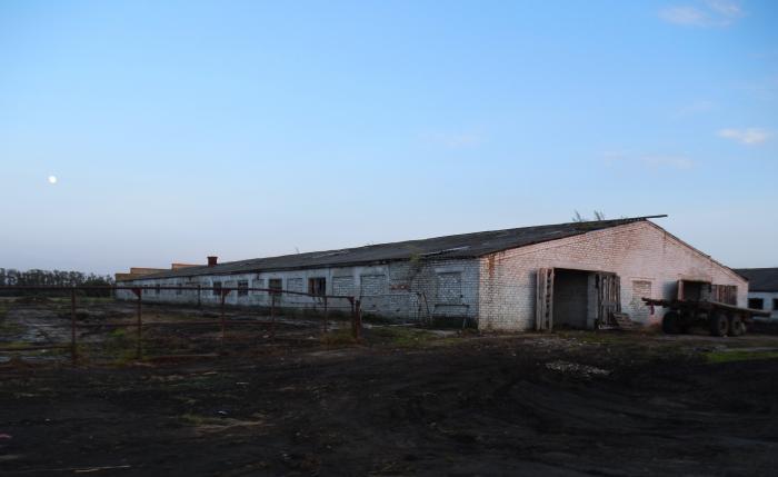 Степановский сельсовет. Совхоз Пролетарский Ордынского района. Пролетарский Новосибирская область. Скотооткормочный Совхоз " Красновский". Совхоз здания.