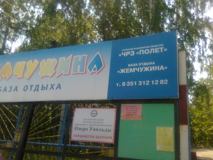 База культура